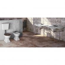 Back to Wall Bidet1 whole  Paolina