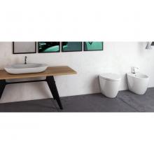 Back to Wall Bidet Ovo