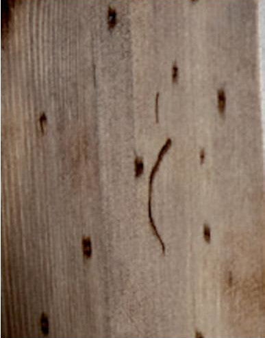 STRUTTURA DA TERRA IN LEGNO CON SPECCHIO POZZO TINOZZA