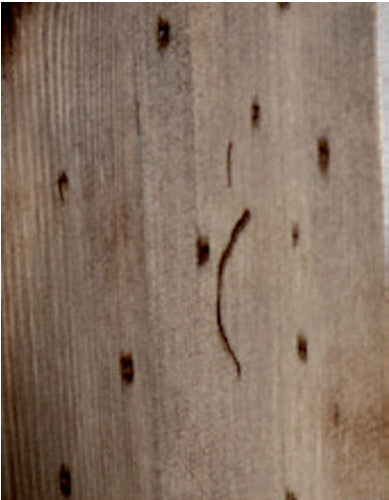 SPECCHIERA RETTANGOLARE