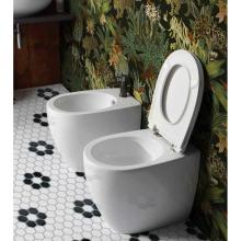 Rimless back to wall Wc Open